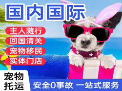 北京首都机场快运国际宠物托运 【国